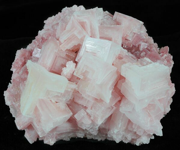 Pink Halite Crystal Plate - Trona, California #61048